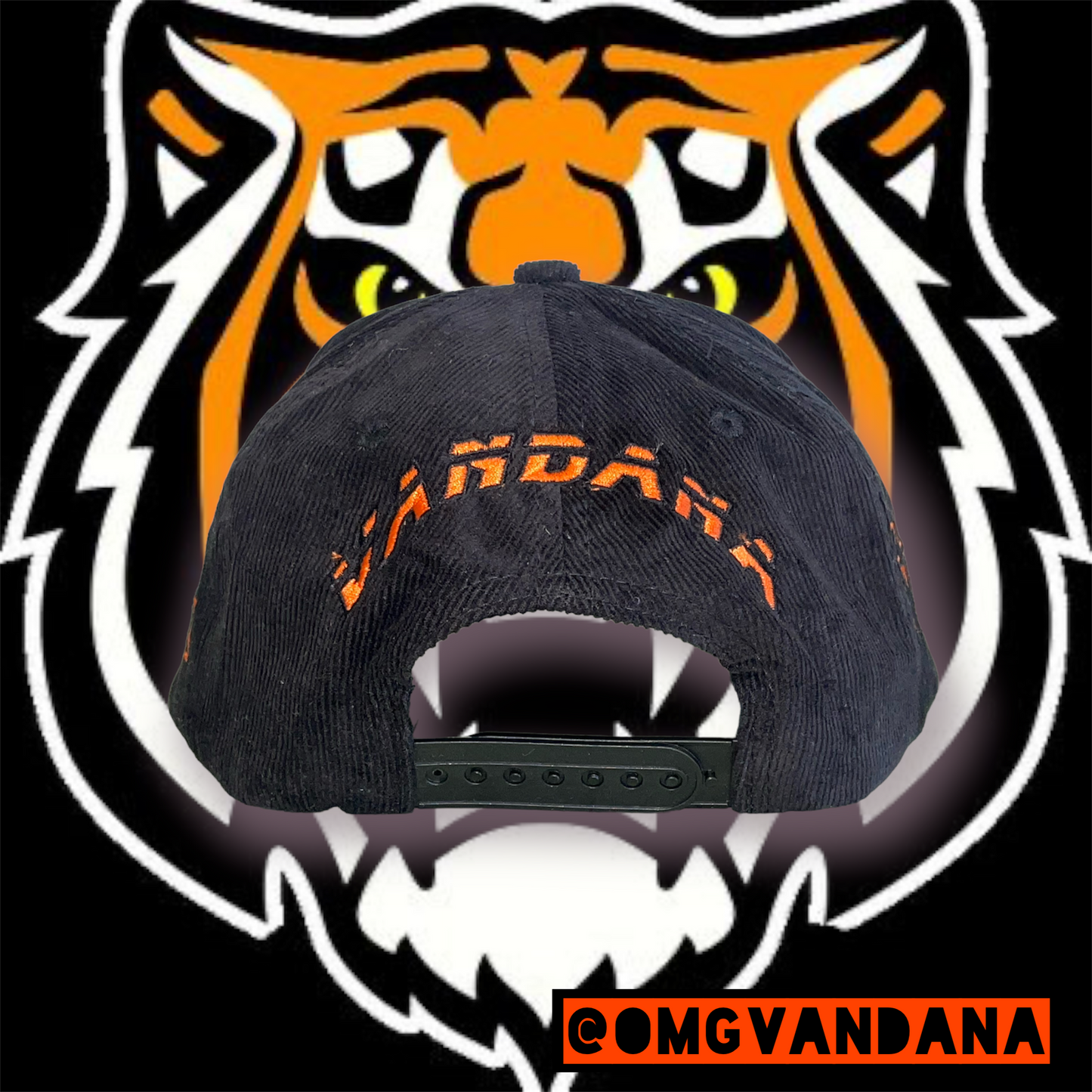 Tiger Pride Snapback