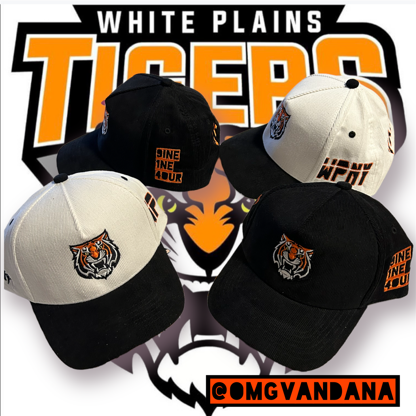 Tiger Pride Snapback